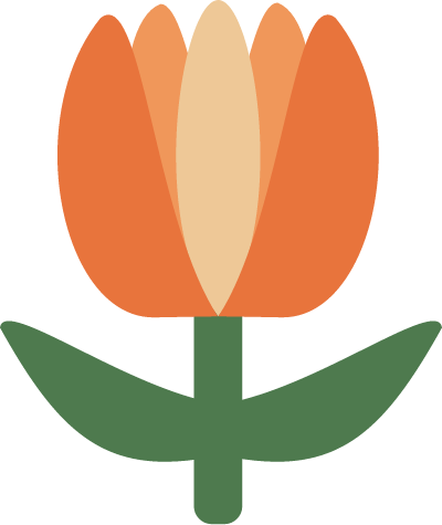 Stichting Democratische Vernieuwing